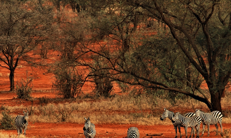 ��������Ӱ�������ϻ���ϯ��Ӱ��Ʒ