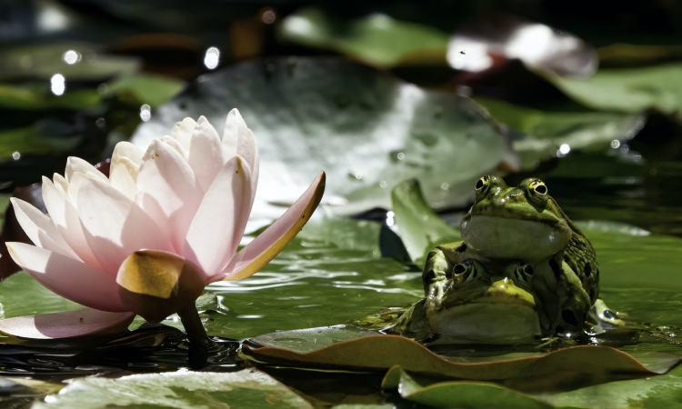 ������Ӱ�������ϻ�FIAP��ϯ�￨�ࡤ������ Riccardo Bussi��Ӱ��Ʒ