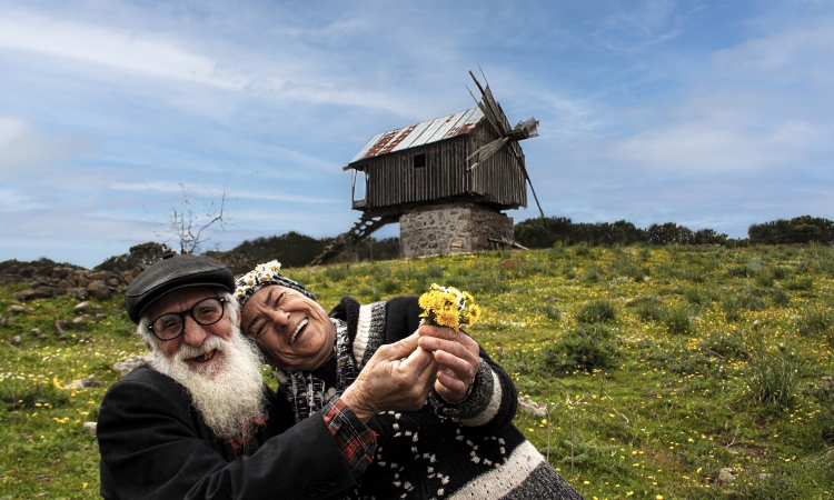 ��������Ӱ�������ϻ���ϯ��Ӱ��Ʒ