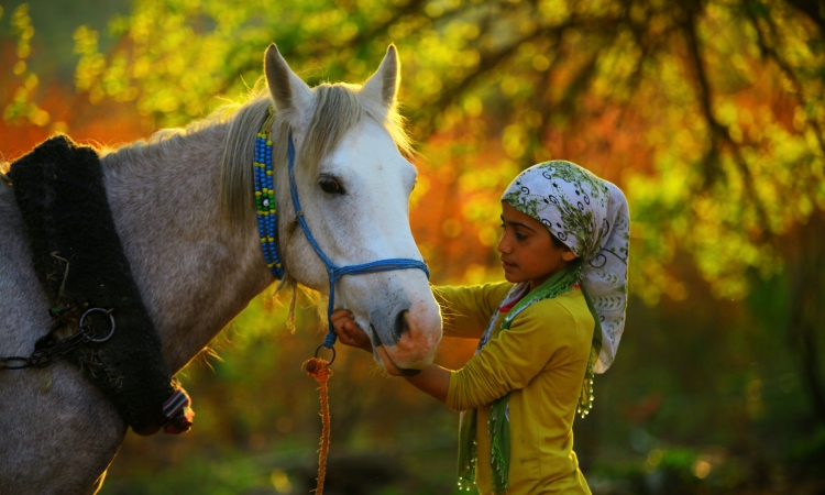 ��������Ӱ�������ϻ���ϯ��Ӱ��Ʒ