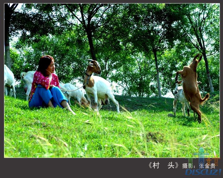 ����ͷ��