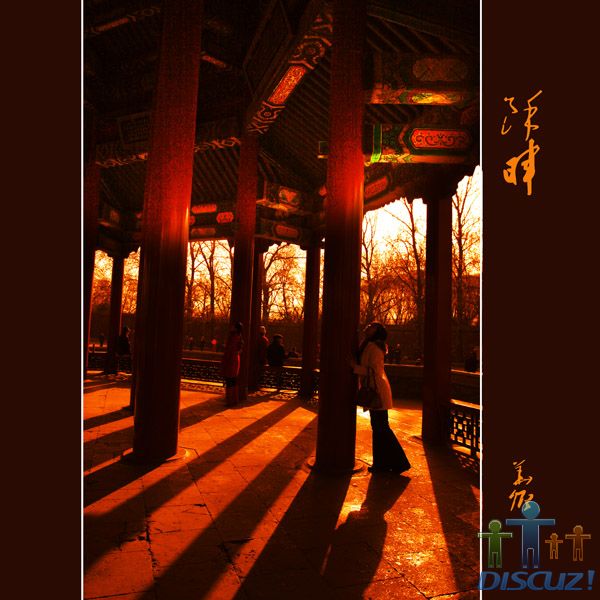 ��Ƭ 990 ����.jpg