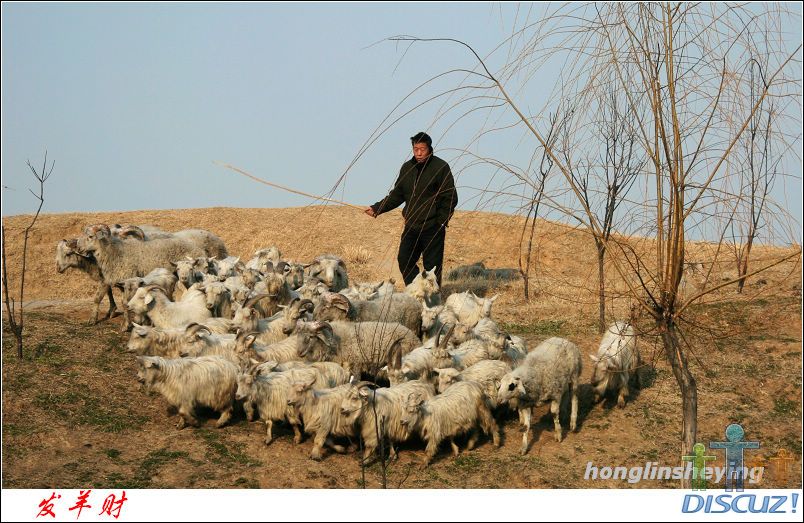 canon5D��09��1��11�ա��� �� 005.jpg