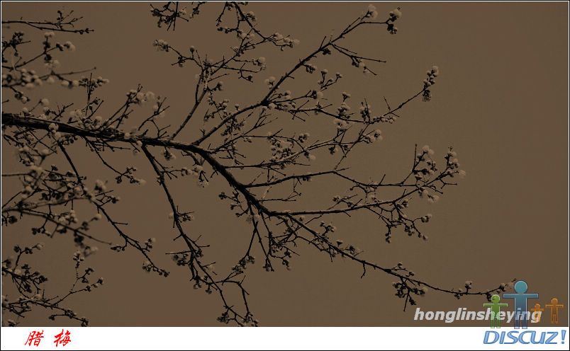 canon5D��09��1��11�ա���÷ 042.jpg