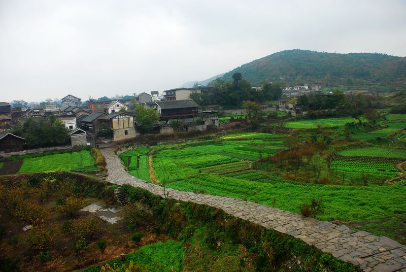 �ϳ����⾰