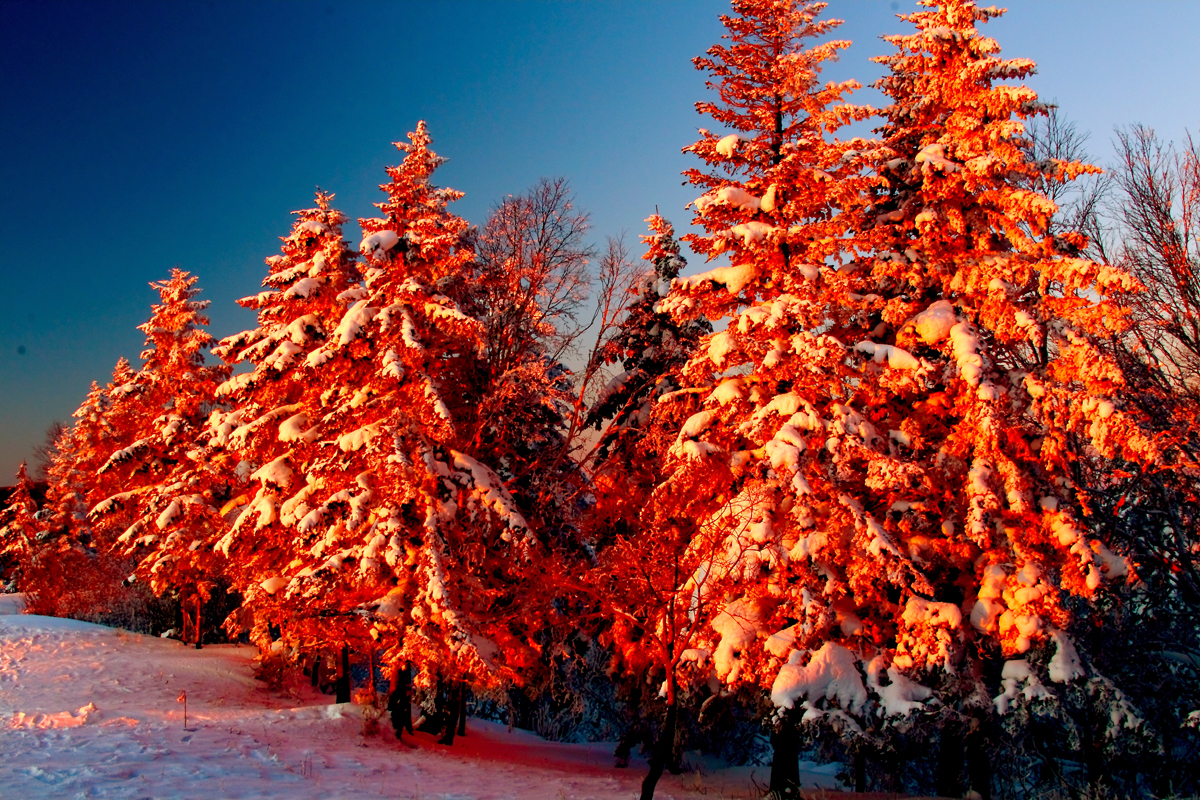 ѩ�����ɽ�ճ���ɫ