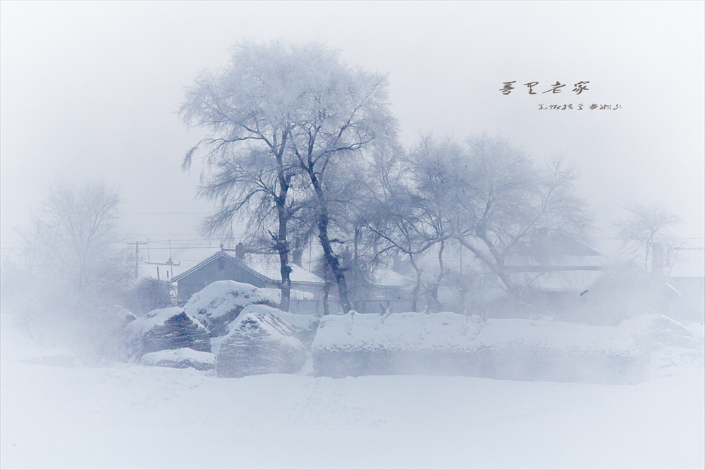 ��ڡ���������ϼҡ�