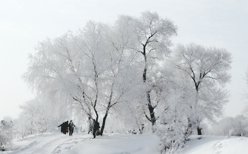 ѩ�硶��װ�ع���