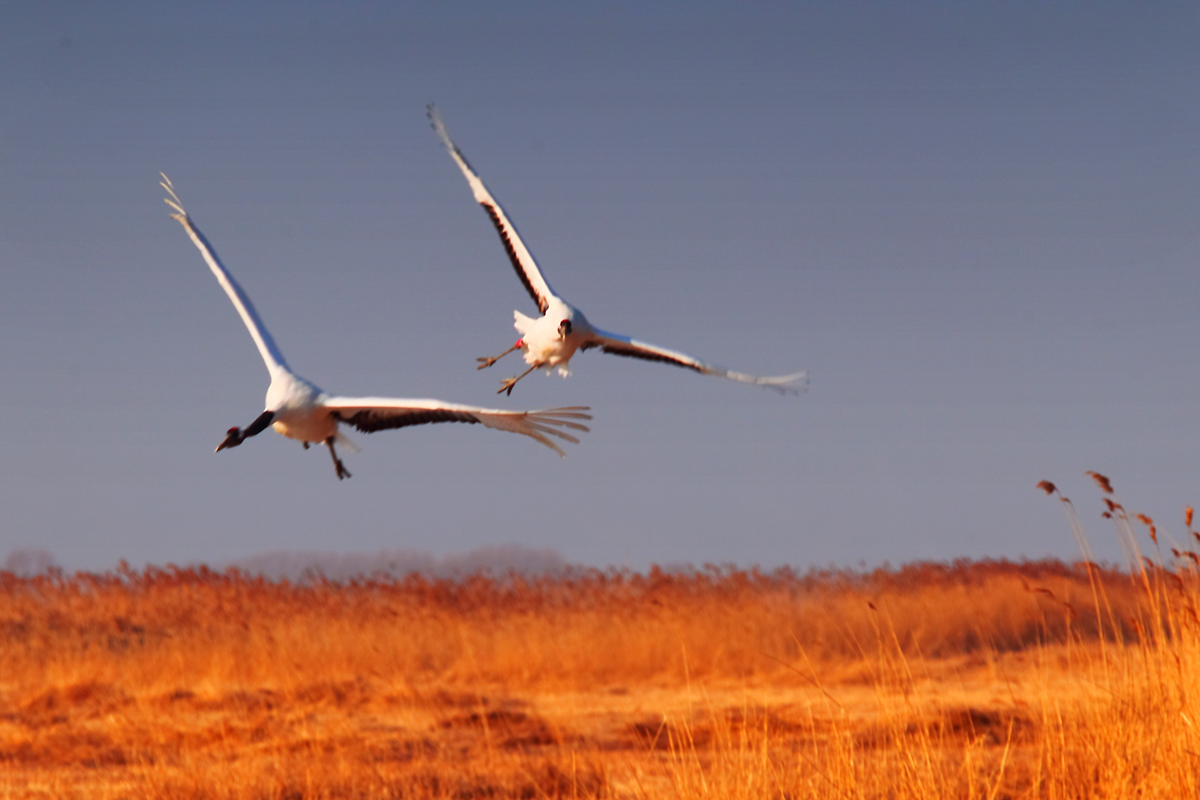 ����ʪ�ر�����������