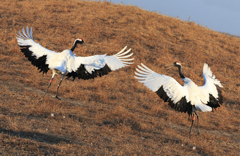 ����ʪ�ر�����������