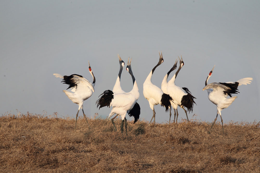 ����ʪ�ر�����������