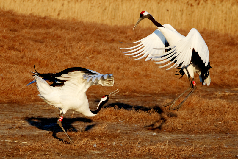 ����ʪ�ر�����������