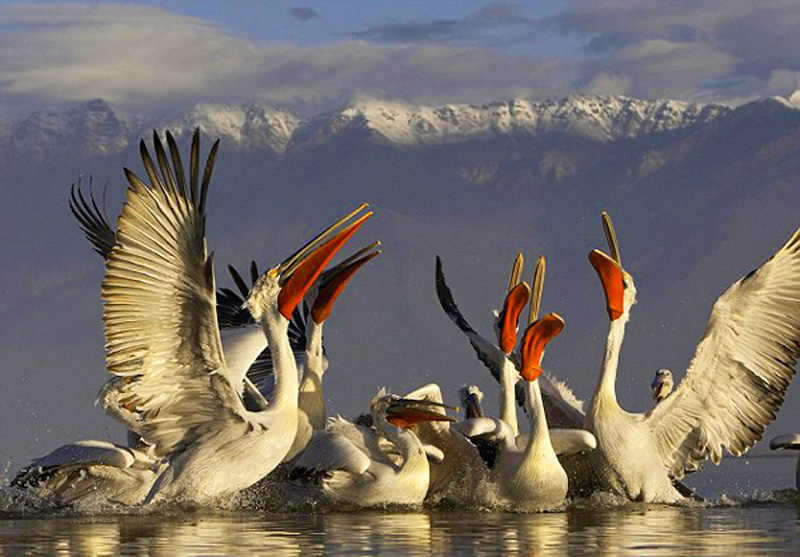 ����˹ˮ��