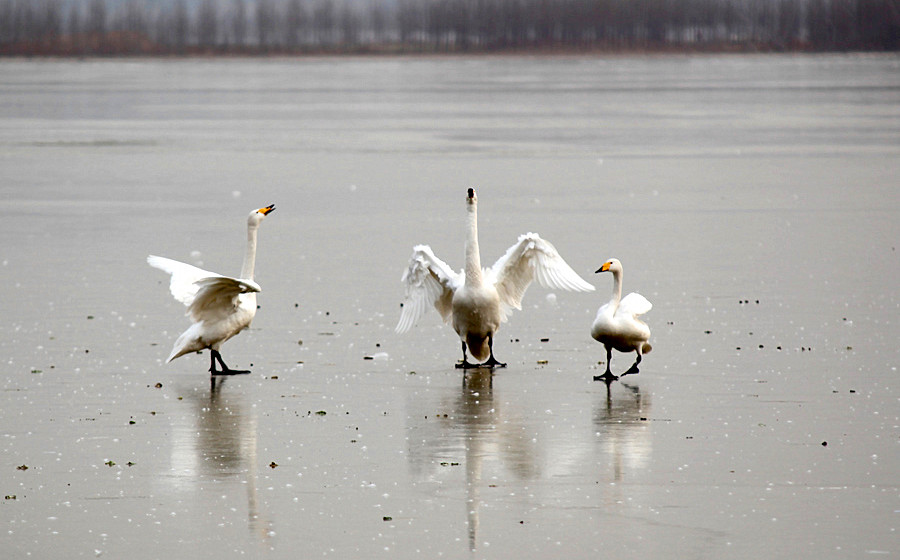 �����Ƭ 212_����.jpg