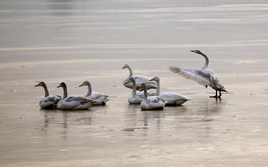 �����Ƭ 105_����.jpg