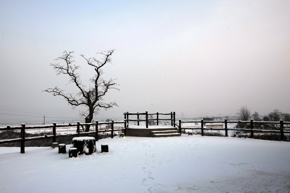 ��������ѩ�У������ǣ�һ���֡�������