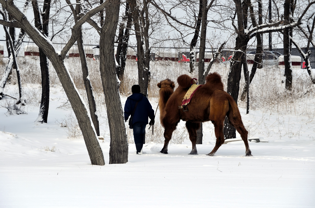 ǣ���յ���