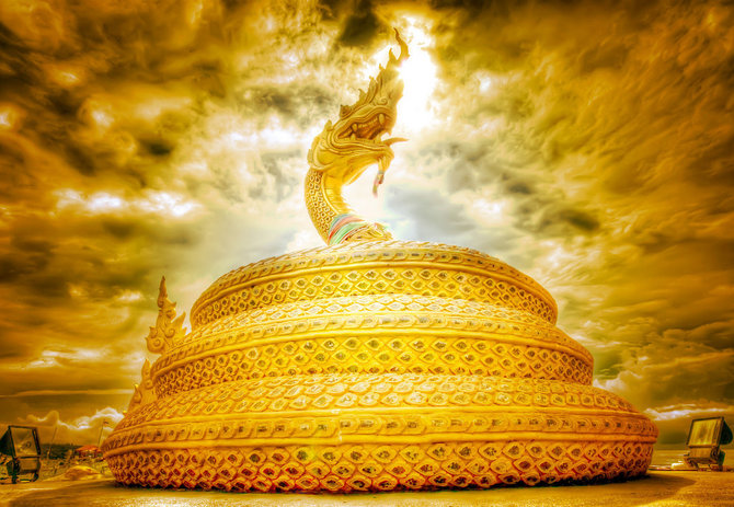 ����ӭ��