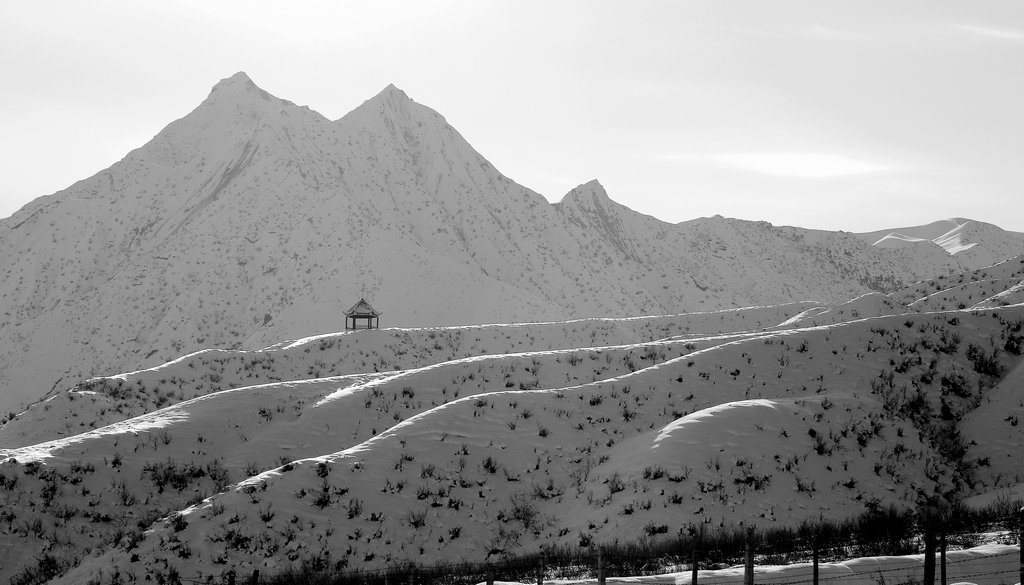 ����˹������