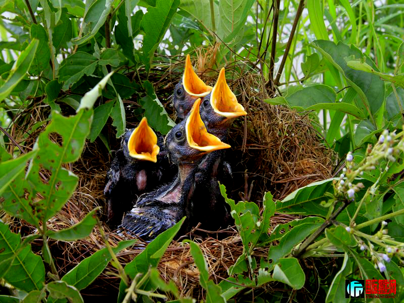 �������ࡷ������