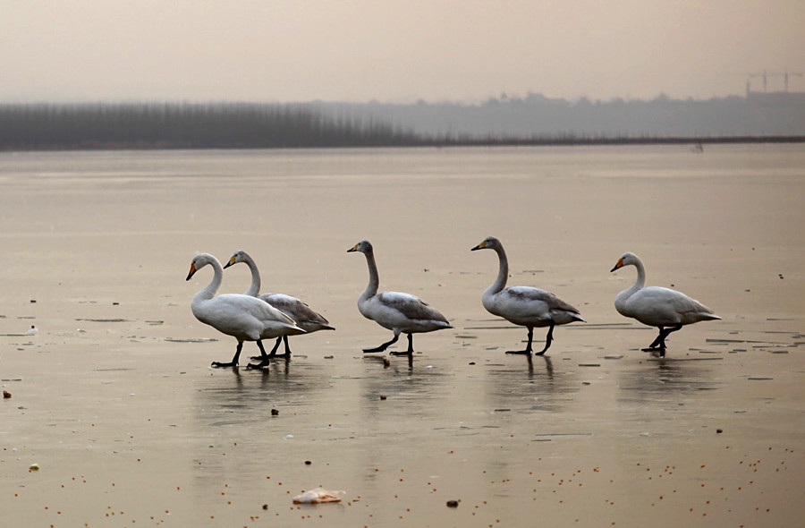 �����Ƭ 313_����.jpg