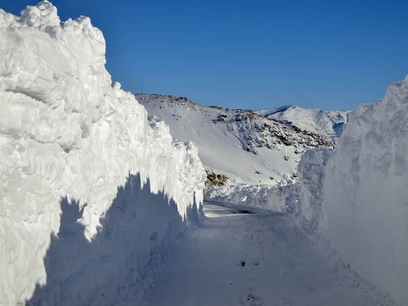 ȥ��ľ��·��