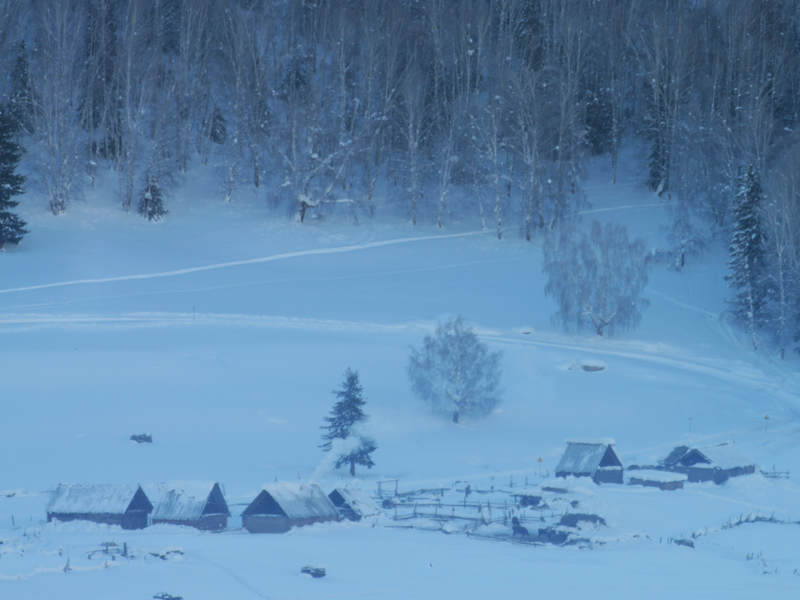 ��ľ���϶�