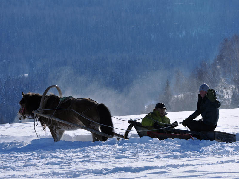 ��η�Ϻ�����Ӱ��