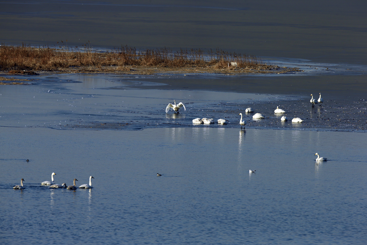 ���������