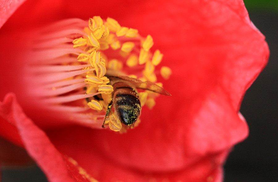 ������Ƭ (143)_����.jpg