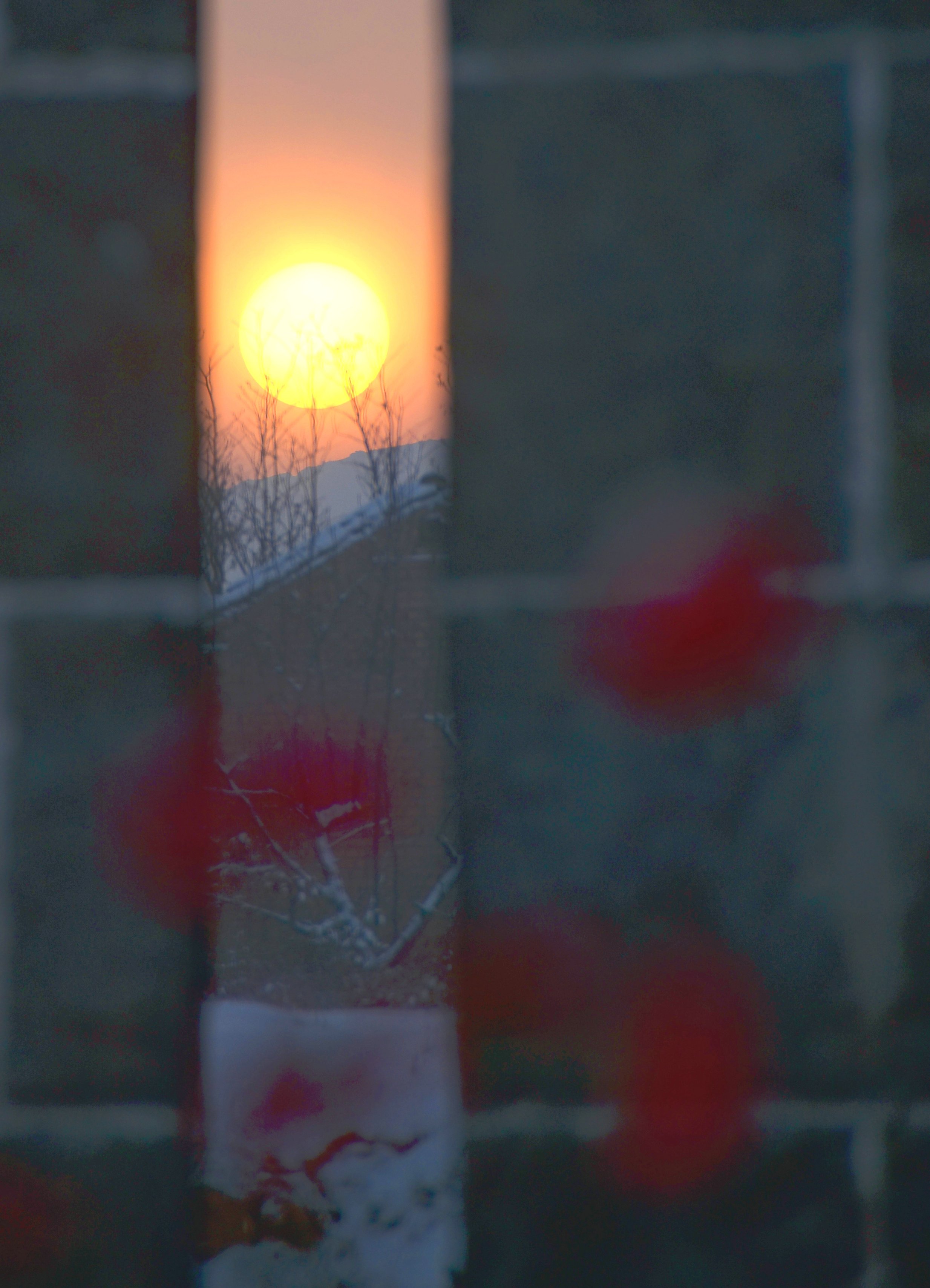 ���������ճ���ɽ��÷������