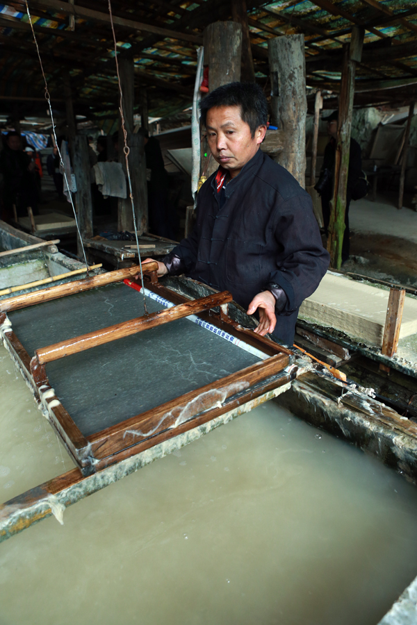 �й��ŷ���ֽ����