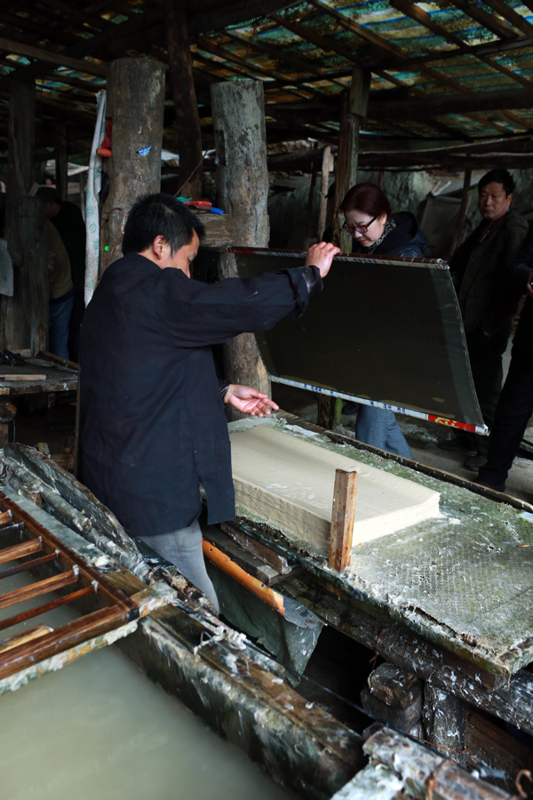 �й��ŷ���ֽ����