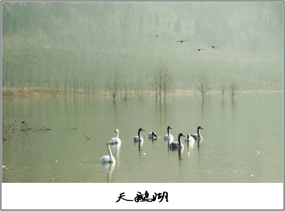 ����� 294_����_conew1.jpg