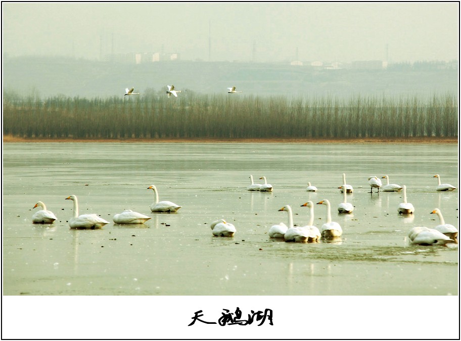 �����Ƭ 008_����_conew1.jpg