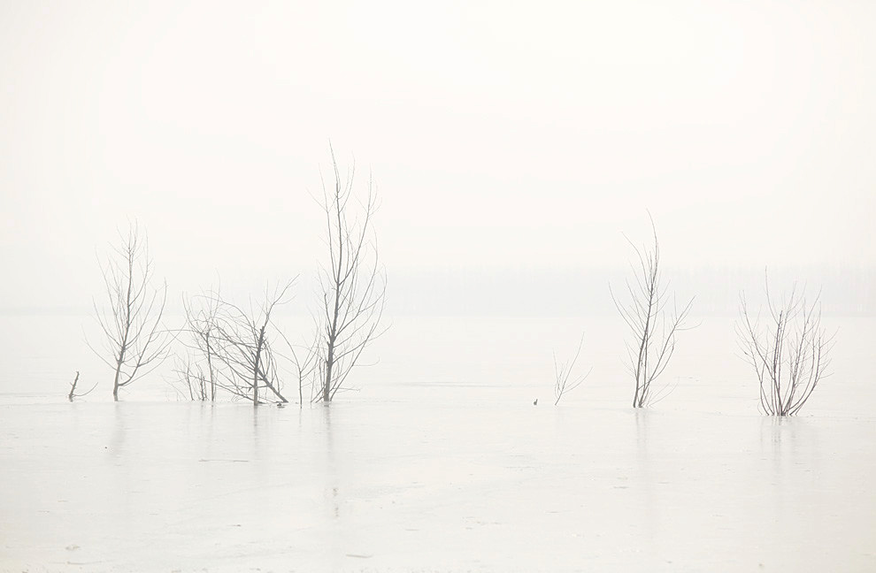 2013��� (16)_����.jpg