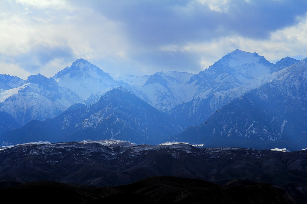 ң����ɽ�������ƻá�