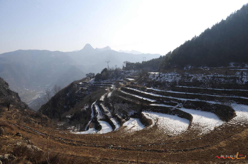 ƽ˳ʫ�� (15).jpg