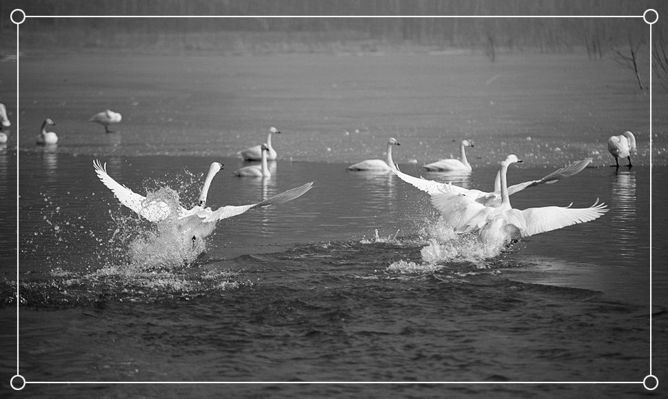 2013��� 112_����.jpg