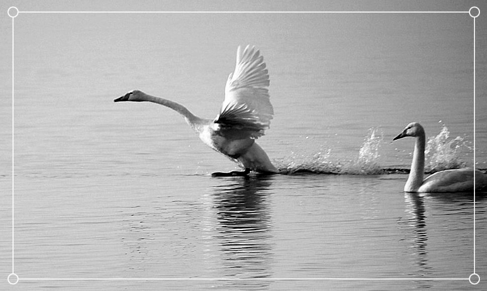 2013��� 116_����.jpg