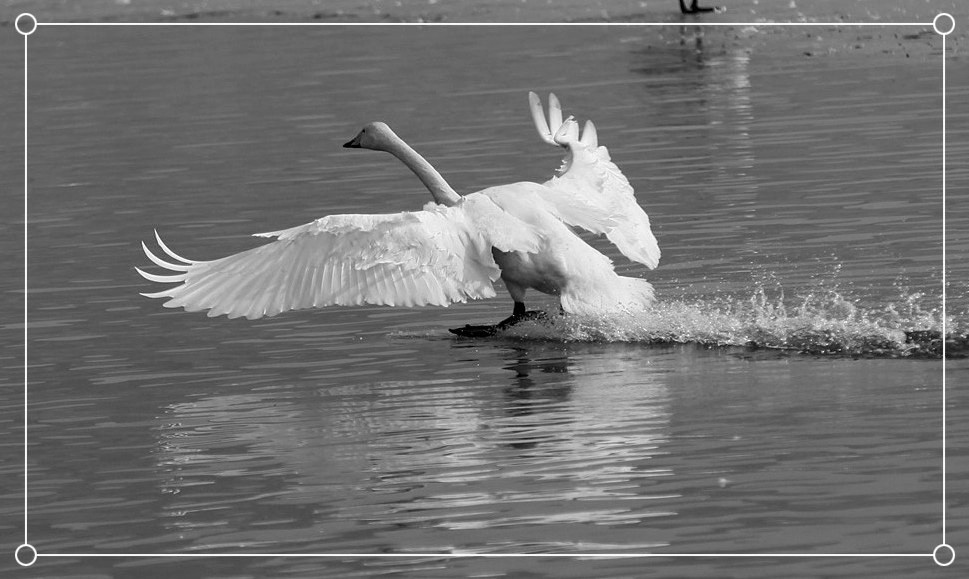 2013��� 118_����.jpg