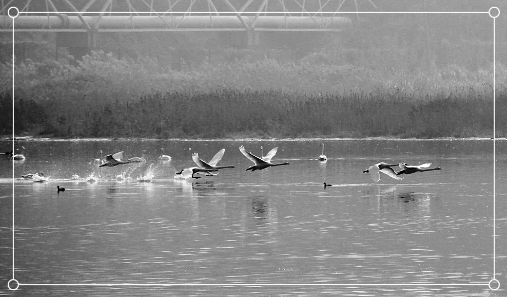 2013��� 126_����.jpg