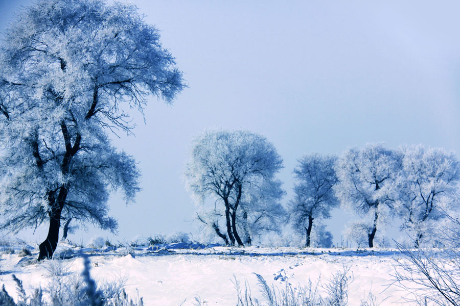 IMG_5269 - ����.JPG