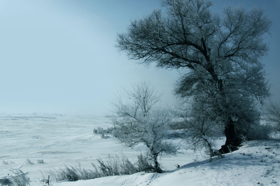 IMG_5386 - ����.JPG