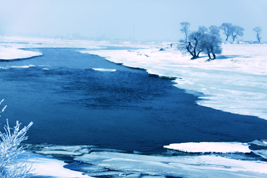 IMG_5422 - ����.JPG