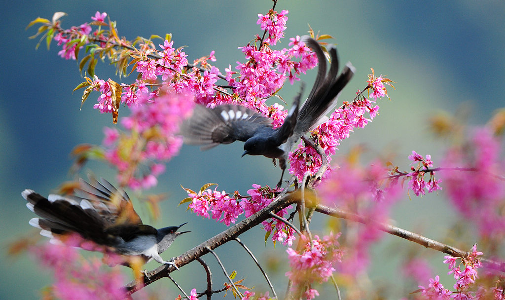 1  DSC_0690   111.jpg