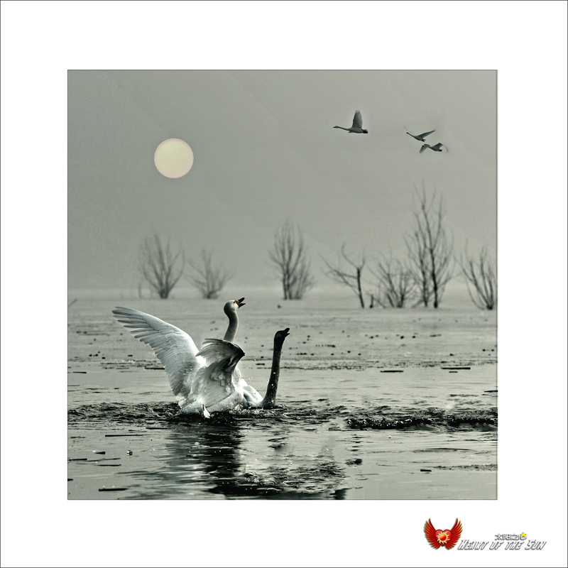 ������ʹ