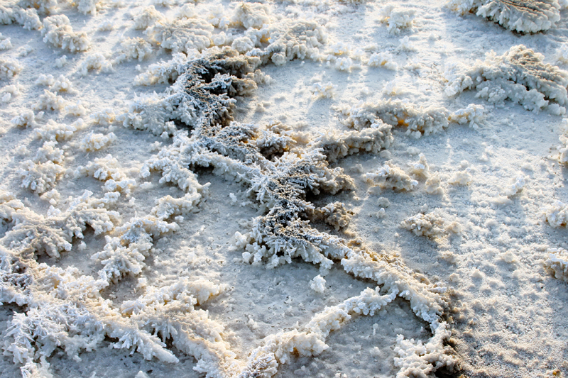 �κ����� (1).JPG