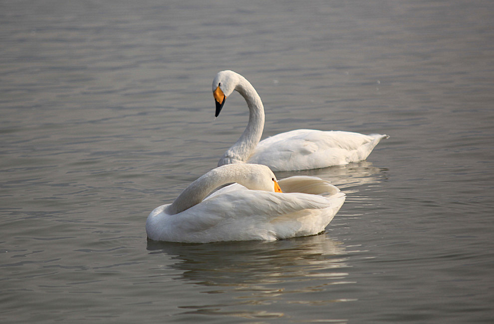 2013��� (118)_����.jpg