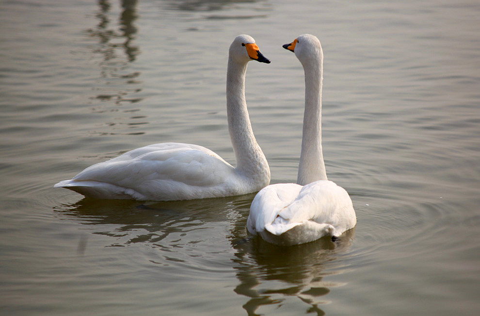 2013��� (108)_����.jpg